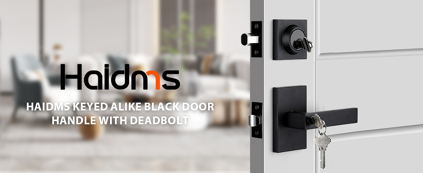 Haidms Black Exterior Door Lock Set With Deadbolt, Matte Black